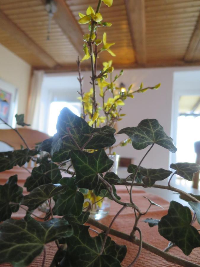 Apartament Alpaka-Ferien Wiechs am Randen Zewnętrze zdjęcie